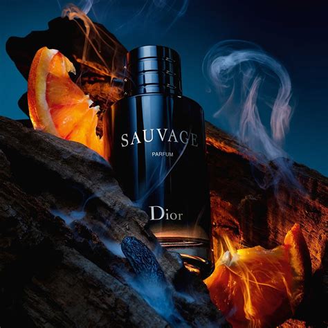 la rive dior sauvage|fragrances like dior sauvage.